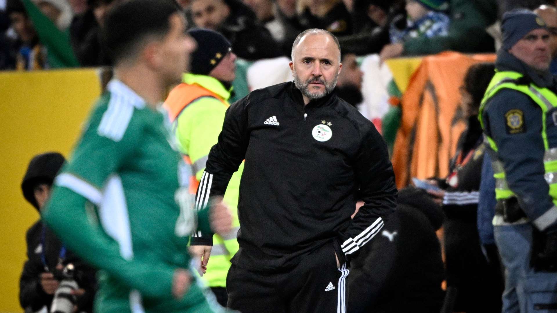 Djamel Belmadi Algeria