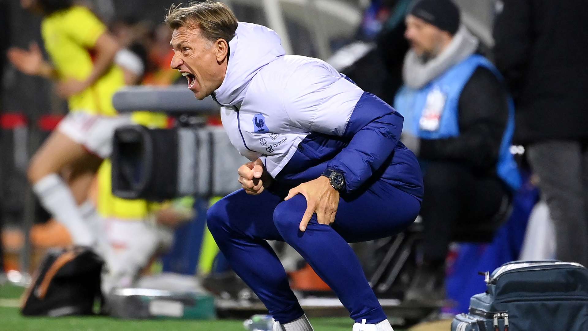 Herve Renard France Women