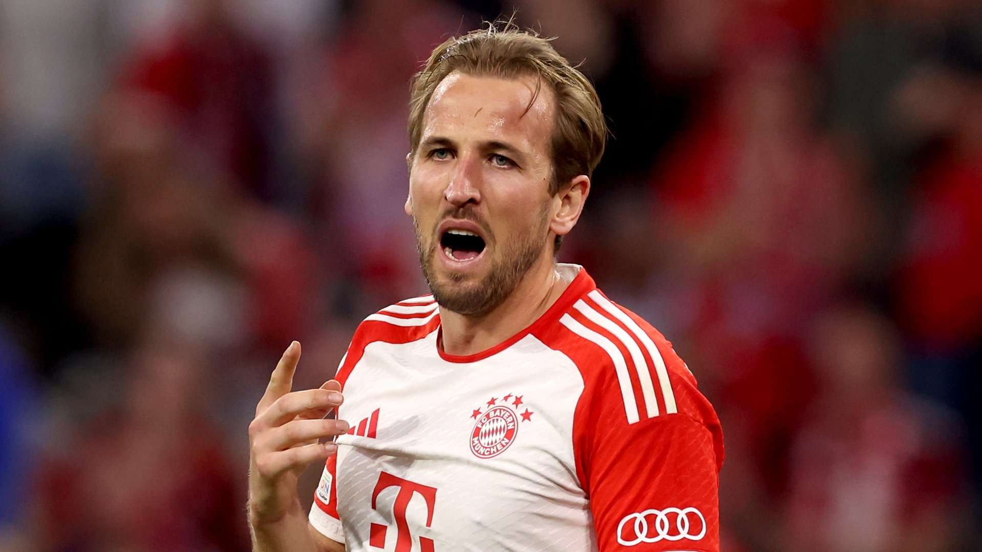 Harry Kane Bayern Munich 2023-24