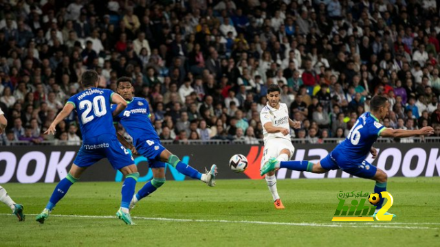 dortmund vs hoffenheim