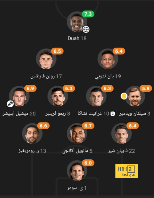 dortmund vs hoffenheim