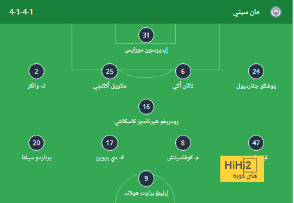 dortmund vs hoffenheim