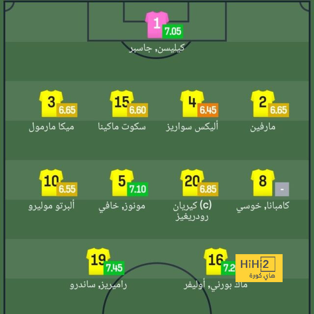 dortmund vs hoffenheim