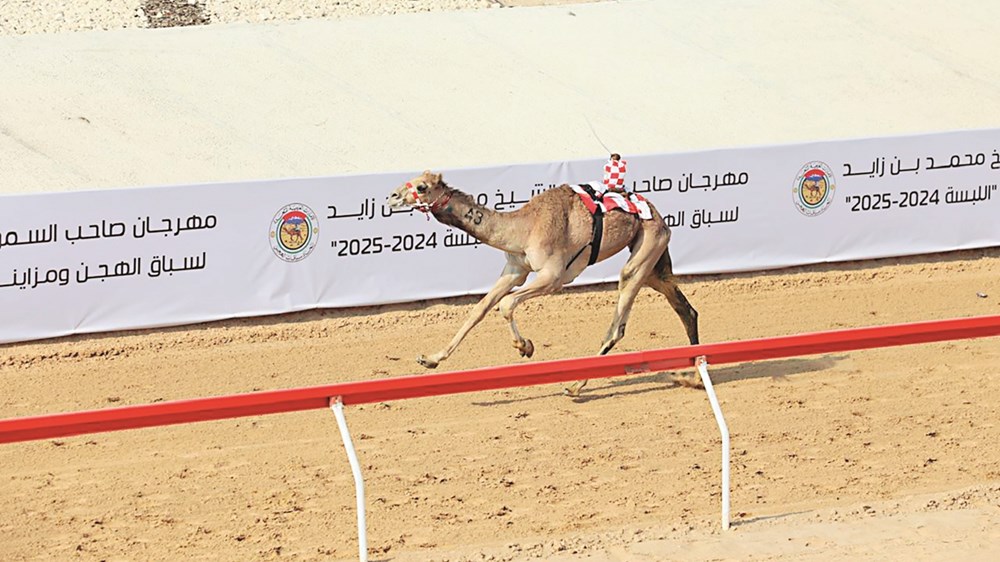 تشكيلة المنتخب الوطني الجزائري