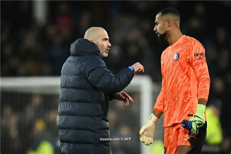 leicester city vs brighton