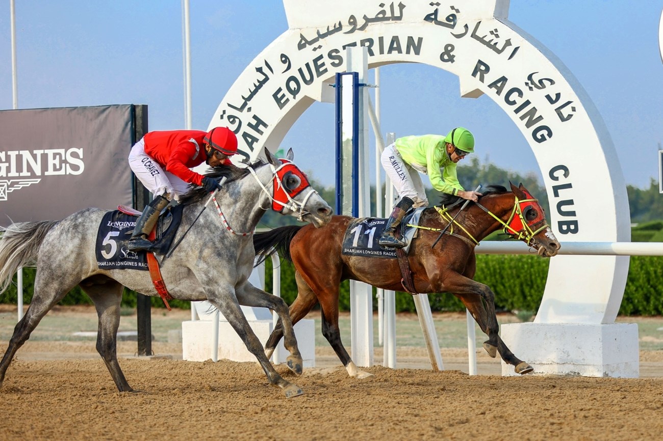 أخبار انتقالات الدوري الفرنسي